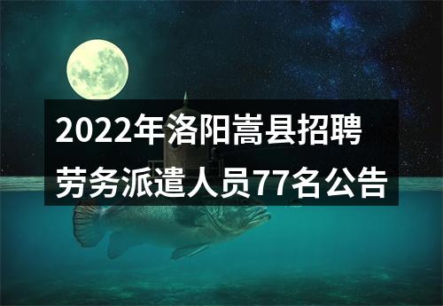 2022年洛阳嵩县招聘劳务派遣人员77名公告 图片