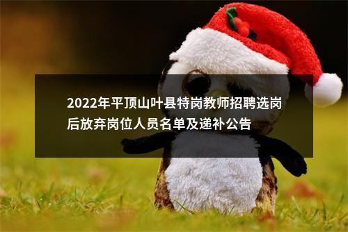 2022年平顶山叶县特岗教师招聘选岗后放弃岗位人员名单及递补公告 图片