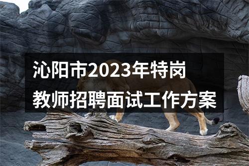 沁阳市2023年特岗教师招聘面试工作方案 图片