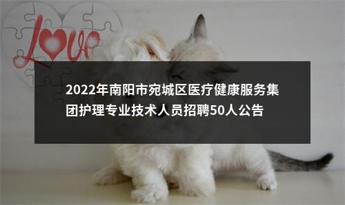 2022年南阳市宛城区医疗健康服务集团护理专业技术人员招聘50人公告 图片