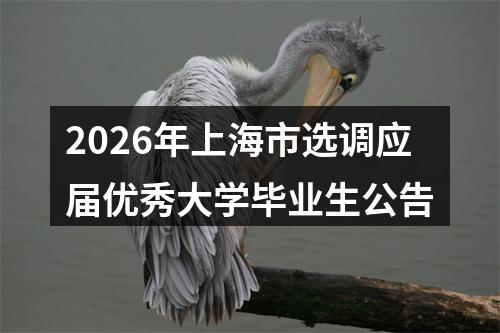 2026年上海市选调应届优秀大学毕业生公告 图片