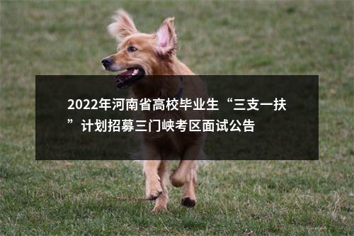 2022年河南省高校毕业生“三支一扶”计划招募三门峡考区面试公告 图片