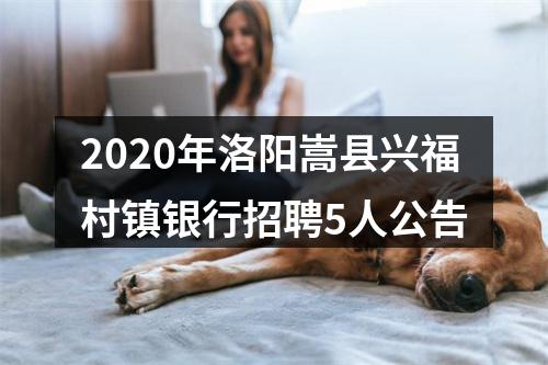 2020年洛阳嵩县兴福村镇银行招聘5人公告 图片