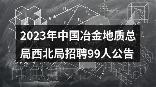 2023年中国冶金地质总局西北局招聘99人公告 图片