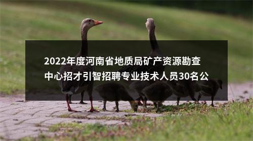 2022年度河南省地质局矿产资源勘查中心招才引智招聘专业技术人员30名公告 图片