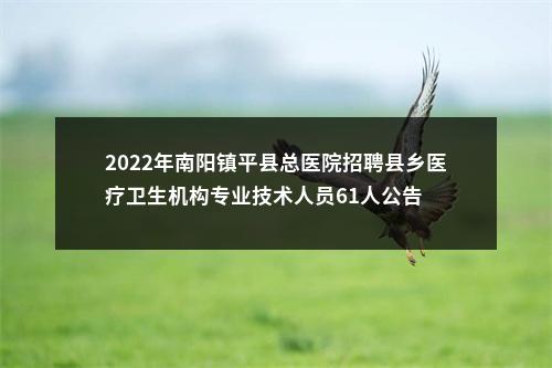 2022年南阳镇平县总医院招聘县乡医疗卫生机构专业技术人员61人公告 图片