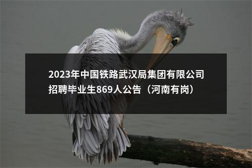 2023年中国铁路武汉局集团有限公司招聘毕业生869人公告（河南有岗） 图片