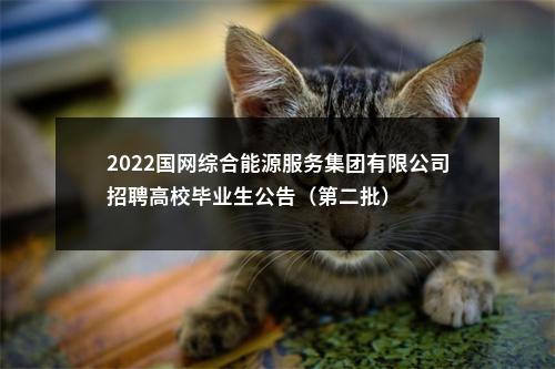 2022国网综合能源服务集团有限公司招聘高校毕业生公告（第二批） 图片